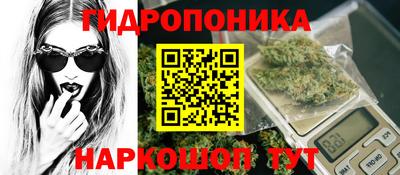 прущие крисы Обь