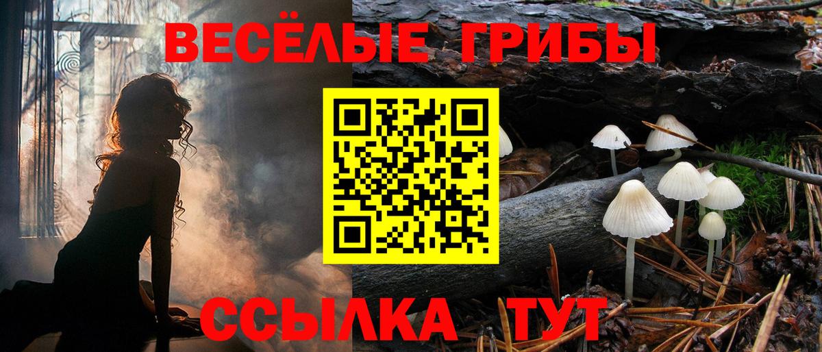 Среднеуральск  Псилоцибиновые грибы мицелий  Вход с VPN 